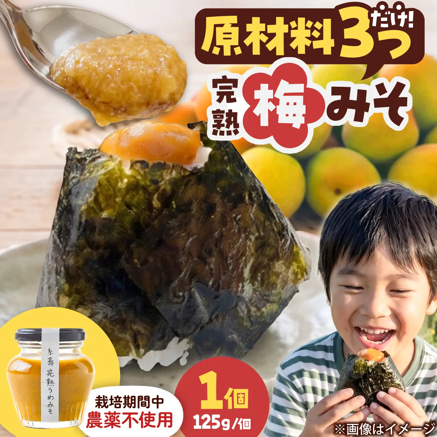 糸島完熟うめみそ 1個 糸島市 / 糸島げんき工房[AKR003]