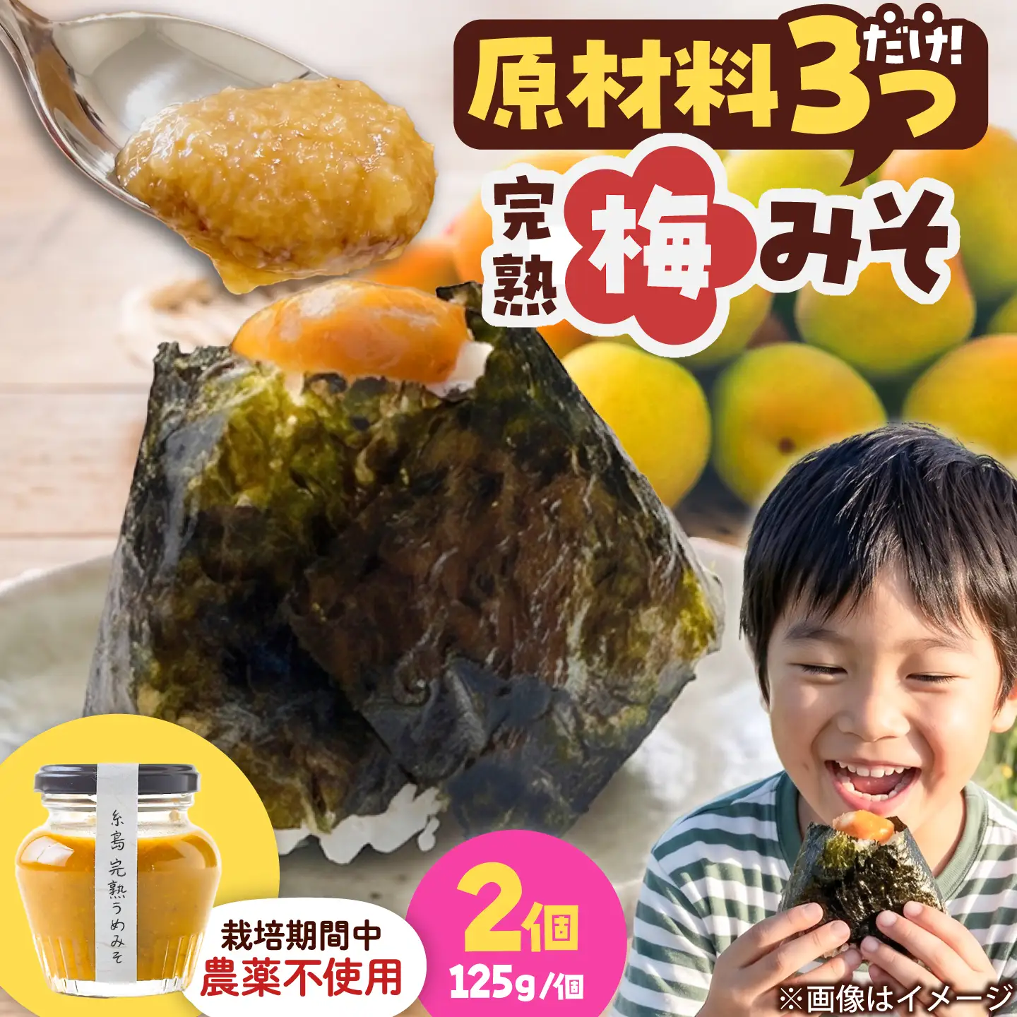 糸島完熟うめみそ2個セット 糸島市 / 糸島げんき工房[AKR004]