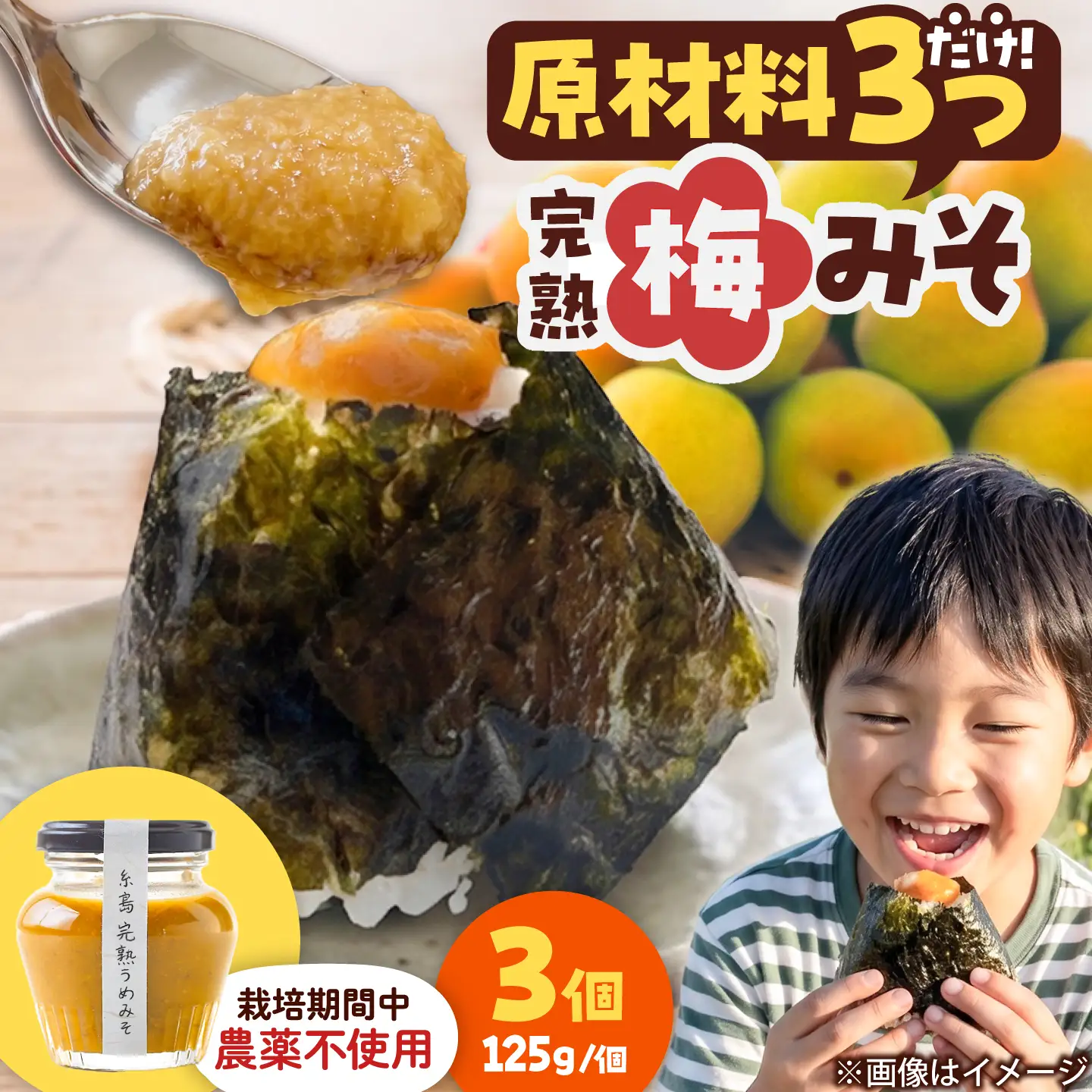 糸島完熟うめみそ3個セット 糸島市 / 糸島げんき工房[AKR005]