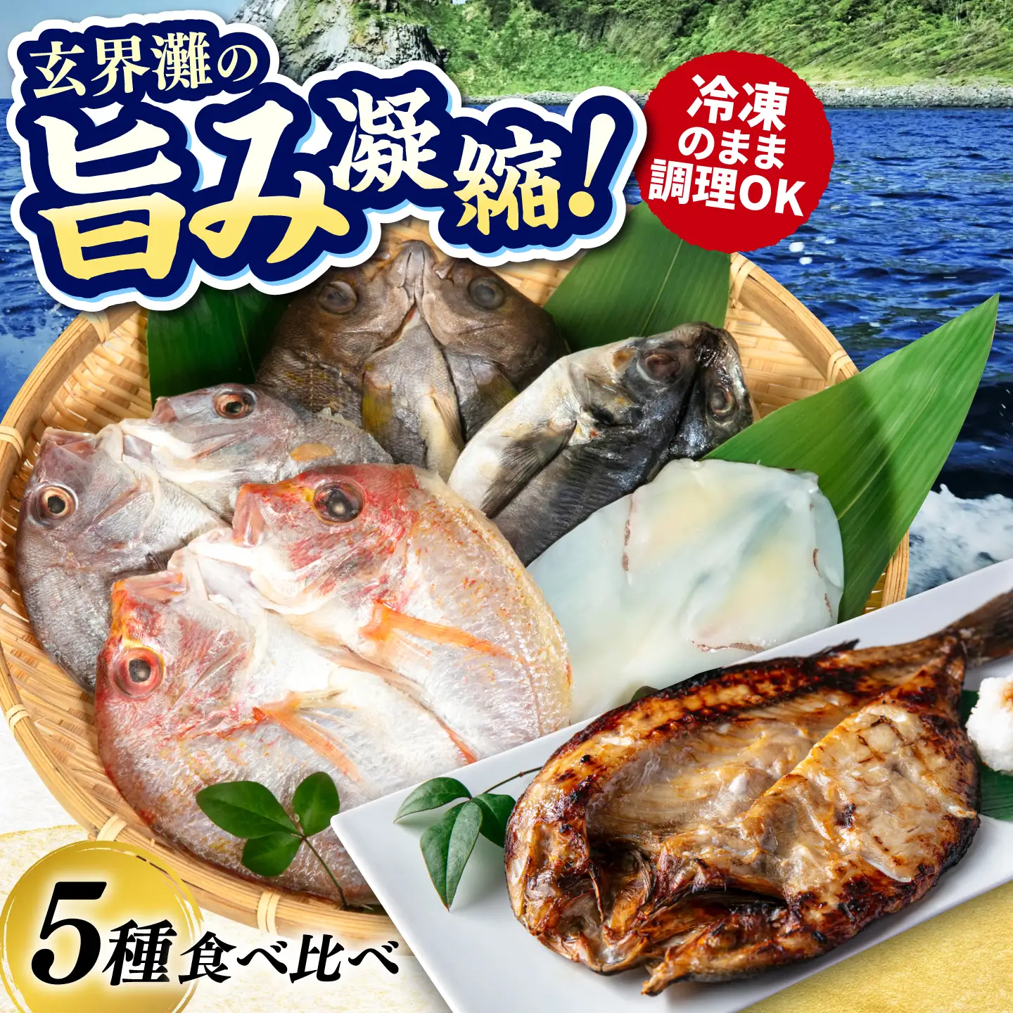 活き活き鮮魚開きセット(真鯛・連子鯛・アジ・いさき・やりいか 計 5枚)糸島市 / 有限会社 糸島海産 / 開き / セット[AMR001]