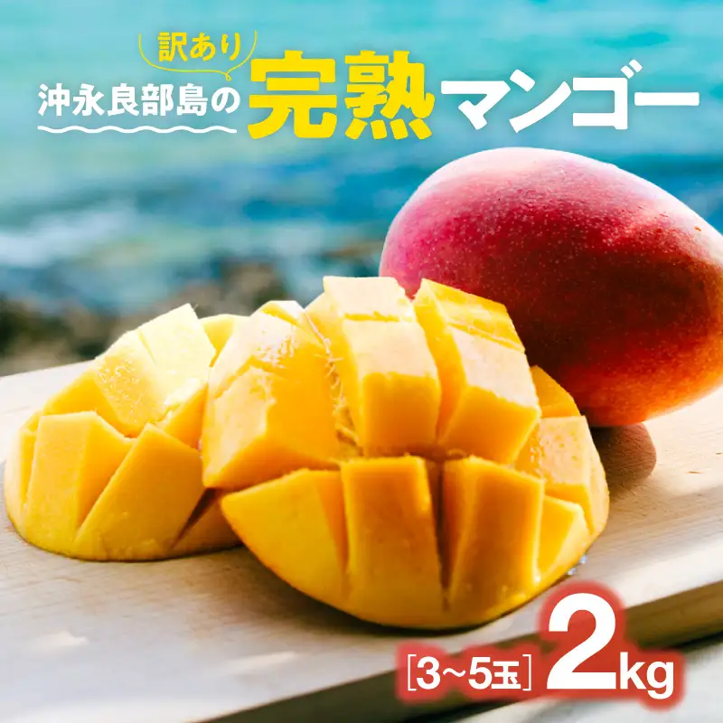島の恵みをおすそ分け！沖永良部島の完熟マンゴー（訳あり） C081-001 フルーツ 16,060円