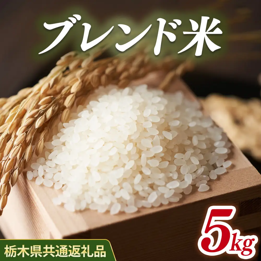米 ブレンド米 5kg 栃木県産【栃木県共通返礼品】