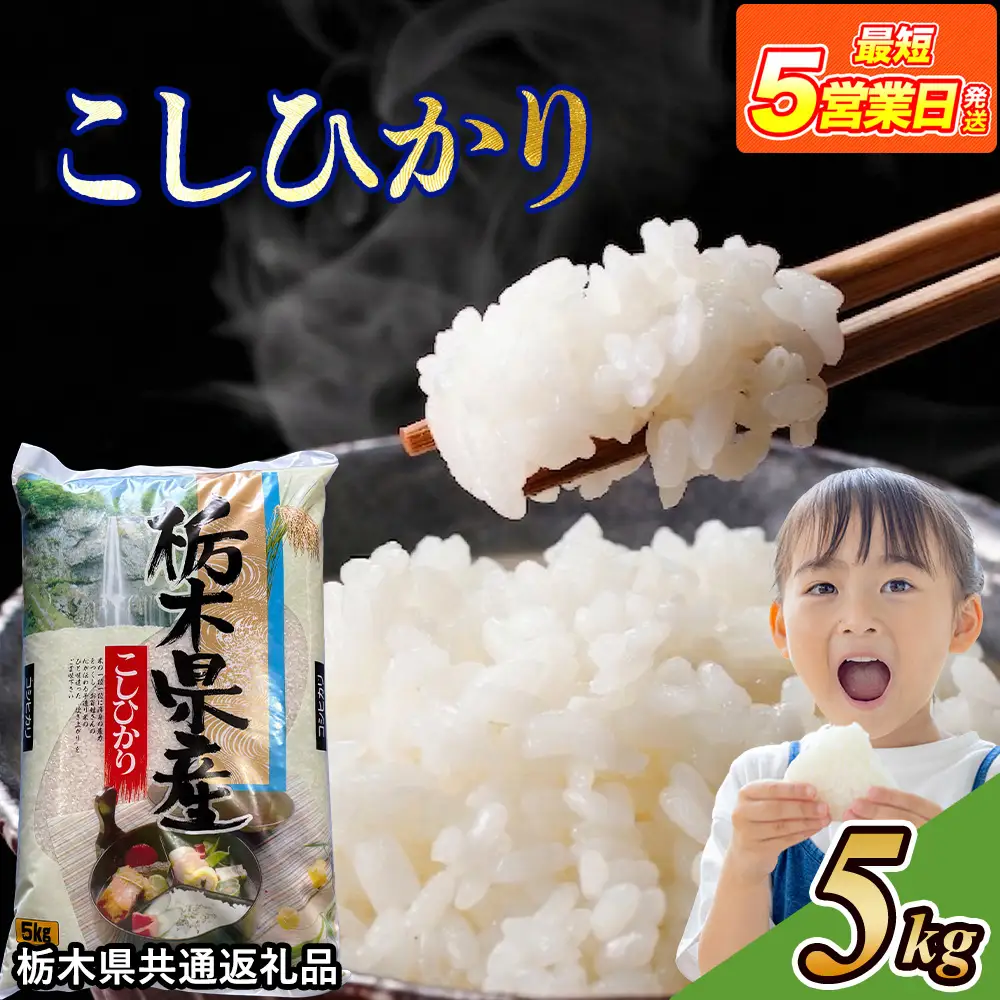 米 コシヒカリ 5kg 栃木県産【栃木県共通返礼品】