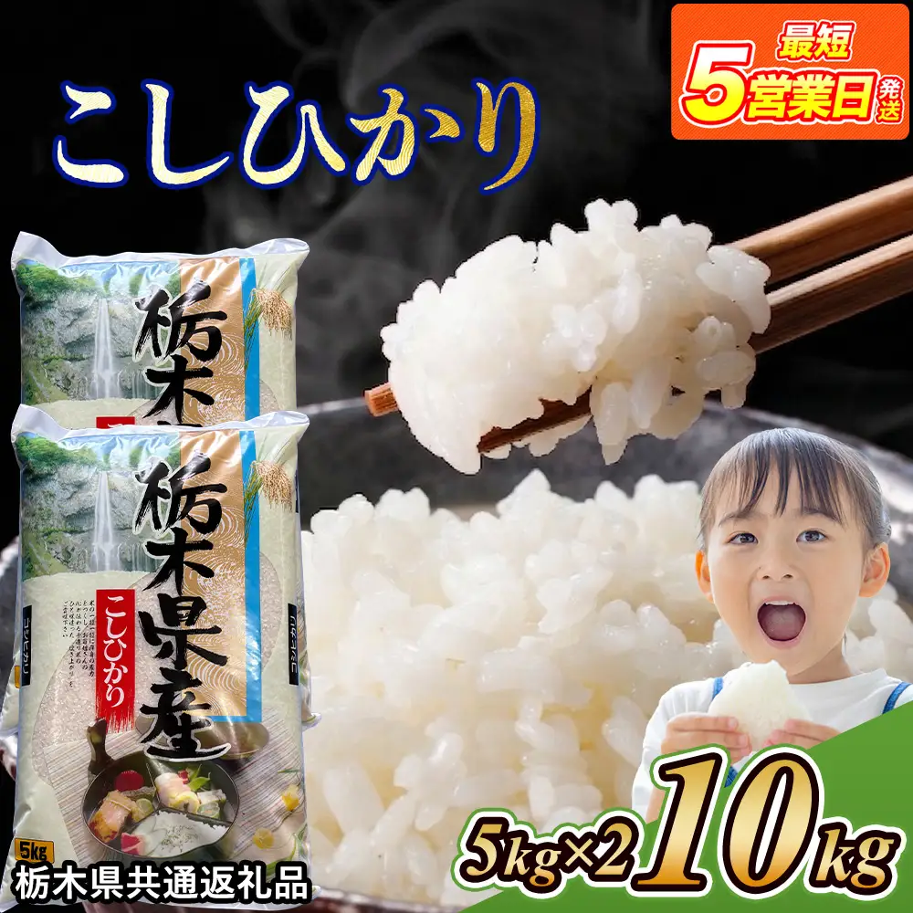 米 コシヒカリ 10kg(5kg×2) 栃木県産【栃木県共通返礼品】