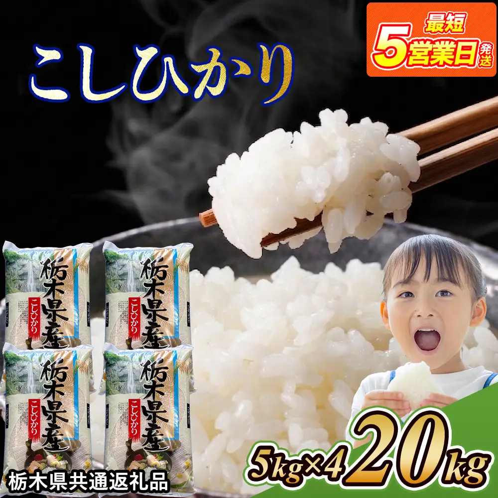 米 コシヒカリ 20kg(5kg×4) 栃木県産【栃木県共通返礼品】