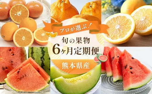 ＜ R8年熊本地震復興支援 ＞【 6ヶ月定期便 】 プロが選ぶ！ 旬の果物定期便 くだもの 果物 フルーツ 果実 果汁 果肉 国産 熊本県産 定期配送 定期 旬の果物 旬 甘味 季節 【 2027年2月上旬～7月上旬発送予定 】