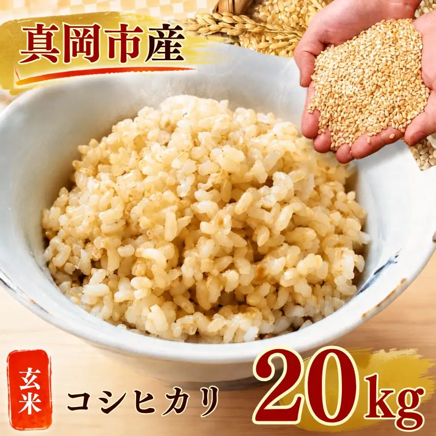 【令和8年産 先行予約】真岡市産 こしひかり 玄米 20kg 