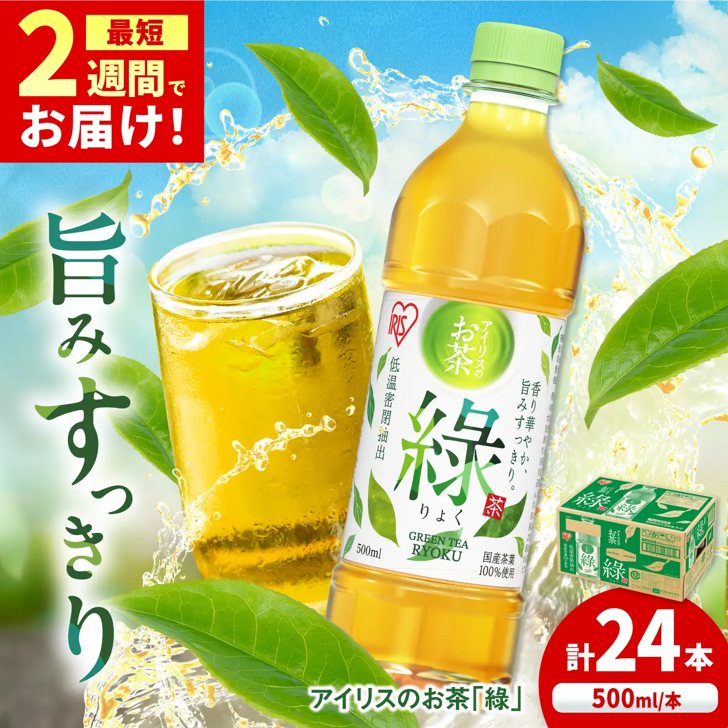 アイリスのお茶「緑」500ml×24本 / 茶 緑茶 ペットボトル / 佐賀県 / アイリスオーヤマ株式会社[41ACAA121]