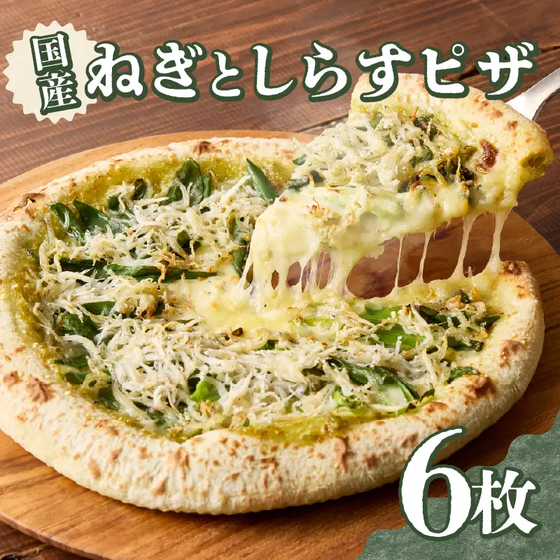 京都山城のねぎと国産しらすピザ 6枚セット 001-17-06