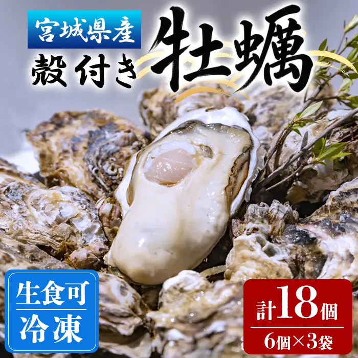 殻付き牡蠣（生食用）冷凍 18個（約1.5kg） 生牡蠣 宮城県産 牡蛎 牡蠣 カキ かき 生食 オイスター カキフライ 牡蠣鍋 海鮮 国産 魚貝類 バーベキュー BBQ 【末永海産株式会社】ta679