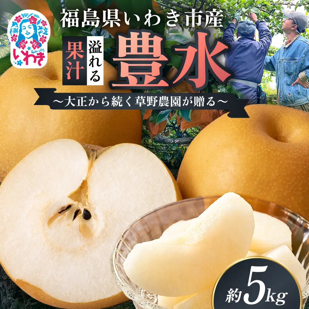 【先行予約】福島県いわき市産 梨(豊水) 約5kg | 梨 豊水 いわき市産 草野農園 約5kg 先行予約 期間限定 果物 フルーツ 和梨 国産 新鮮 産地直送 甘い 濃厚果汁 ジューシー 瑞々しい シャキシャキ 数量限定 送料無料 フレッシュ 季節限定 | KN002-5kg