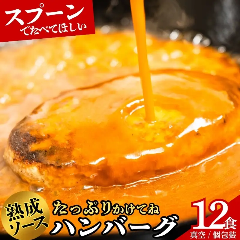  【ふるさと納税限定】 ハンバーグSaiの味 ふわふわ ハンバーグ 自家製ソース付き 12食  sai001c ハンバーグ