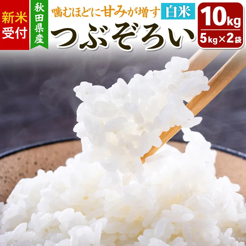 《新米受付》令和8年産【白米】つぶぞろい 10kg（5kg×2袋）秋田県由利本荘市産 
