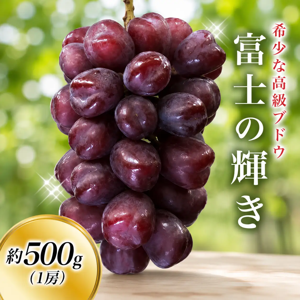 ＜早いもの勝ち !＞富士の輝き 約500g 1房 ※2026年9月頃発送予定 / ブラックシャイン ブラックシャインマスカットシャイン 富士の輝 葡萄 ブドウ 田辺市 和歌山県【kkb004-2】 