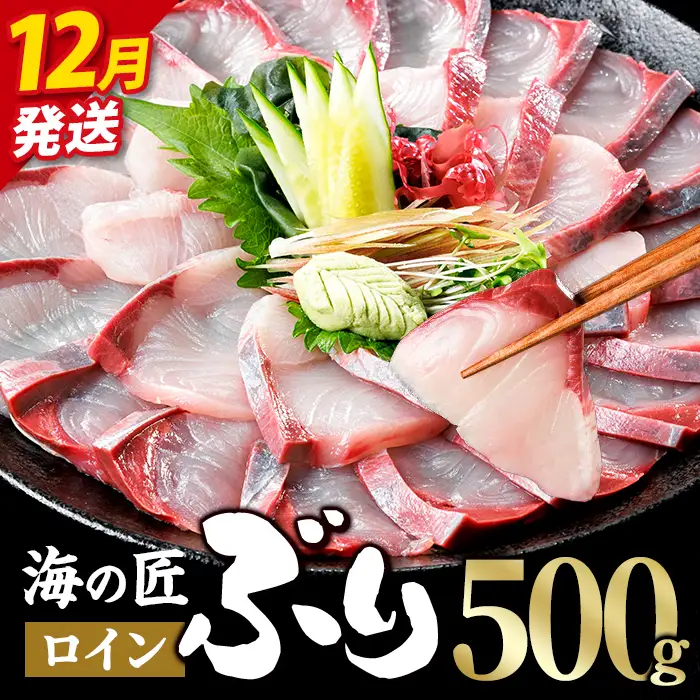 ＜先行予約受付中！2026年12月以降順次発送予定＞海の匠 ブリ スキンレスロイン (500g) ぶり 鰤 刺身 国産 魚 海産物 海鮮丼 ぶりしゃぶ 冷蔵 【JP002-12】【三共物商】