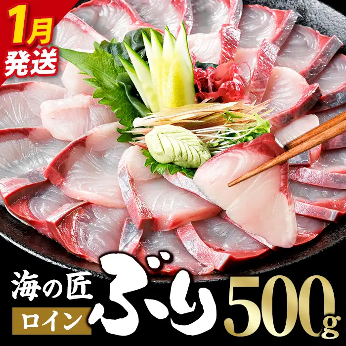 ＜先行予約受付中！2027年1月以降順次発送予定＞海の匠 ブリ スキンレスロイン (500g) ぶり 鰤 刺身 国産 魚 海産物 海鮮丼 ぶりしゃぶ 冷蔵 【JP002-01】【三共物商】