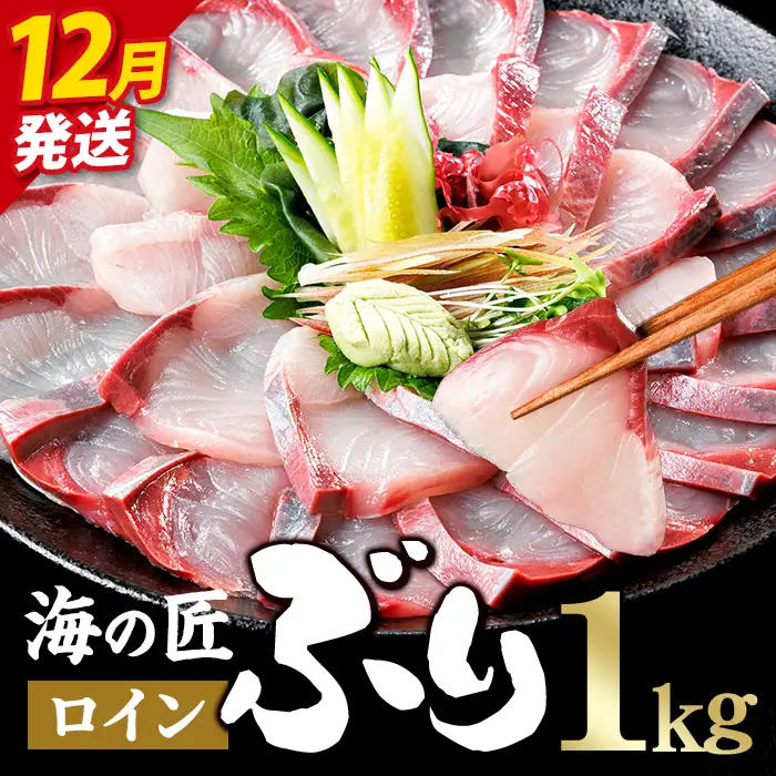 ＜先行予約受付中！2026年12月以降順次発送予定！＞海の匠 ブリ スキンレスロイン (1kg) ぶり 鰤 刺身 国産 魚 海産物 海鮮丼 ぶりしゃぶ 冷蔵 【JP003-12】【三共物商】