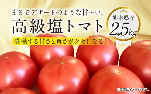 『まるでデザートのような甘～い、高級塩トマト』 約2.5kg 1箱 熊本県産 【2027年1月下旬発送開始】 野菜 やさい トマト とまと 塩トマト