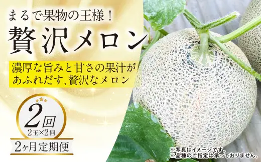 【年2回定期便】『まるで果物の王様！贅沢メロン』 2玉セット×2回 合計4玉  2色楽しめる特別な定期便 【2027年1月下旬発送開始】熊本県産 フルーツ くだもの 果物 メロン 果実 果肉 おやつ 国産
