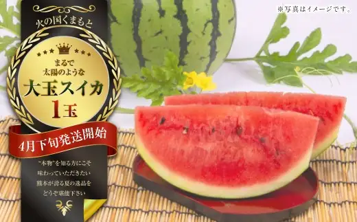 まるで火の国くまもとの太陽のような大玉スイカ1玉（熊本県産） 【2027年4月下旬発送開始】 すいか 西瓜 スイカ くだもの フルーツ 甘い 果物 夏 国産 常温