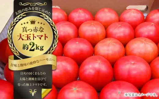 太陽の恵みを閉じ込めた真っ赤な大玉トマト2kg（熊本県産） 【2027年1月下旬発送開始】 甘い 真っ赤 野菜 やさい 爽やか フルーツトマト とまと 国産 常温