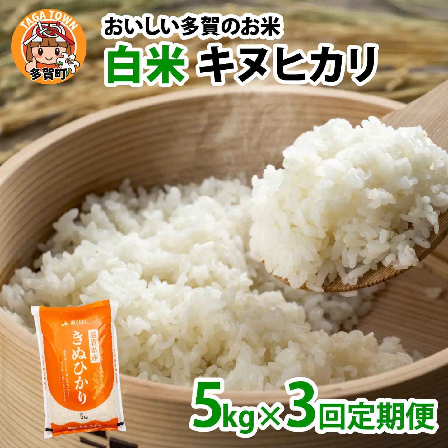 【先行予約】【令和8年産新米早期予約 毎月定期配送・計3回】 キヌヒカリ5kg×3回　おいしい多賀のお米 [D-00402]