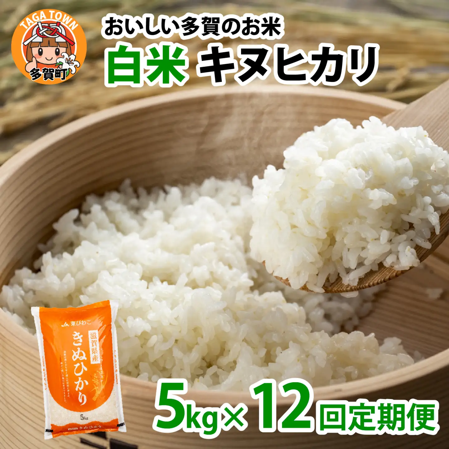 【先行予約】【令和8年産新米早期予約 毎月定期配送・計12回】 キヌヒカリ5kg×12回　おいしい多賀のお米 [J-00402] / 白米