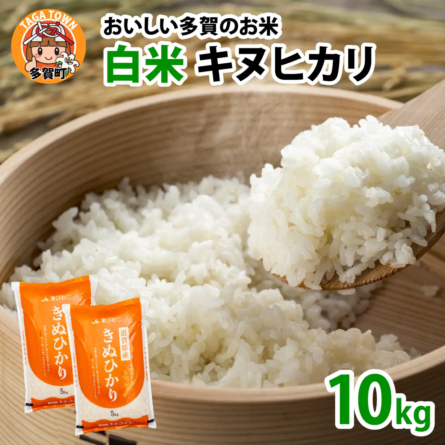 【先行予約】【令和8年産新米早期予約】キヌヒカリ10kg　おいしい多賀のお米 [C-00403]   キヌヒカリ