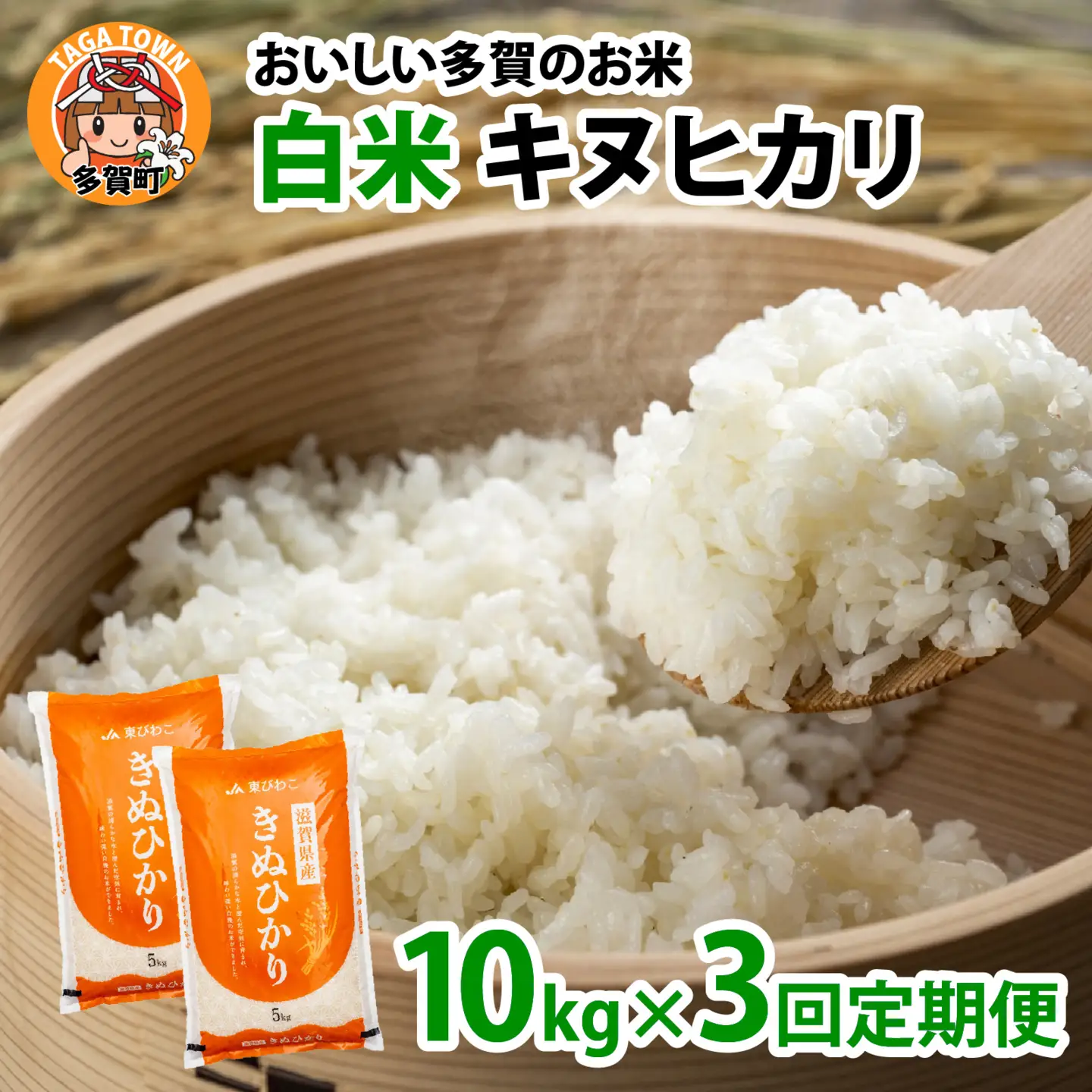 【先行予約】【令和8年産新米早期予約 毎月定期配送・計3回】 キヌヒカリ10kg×3回　おいしい多賀のお米 [G-00403] / 白米