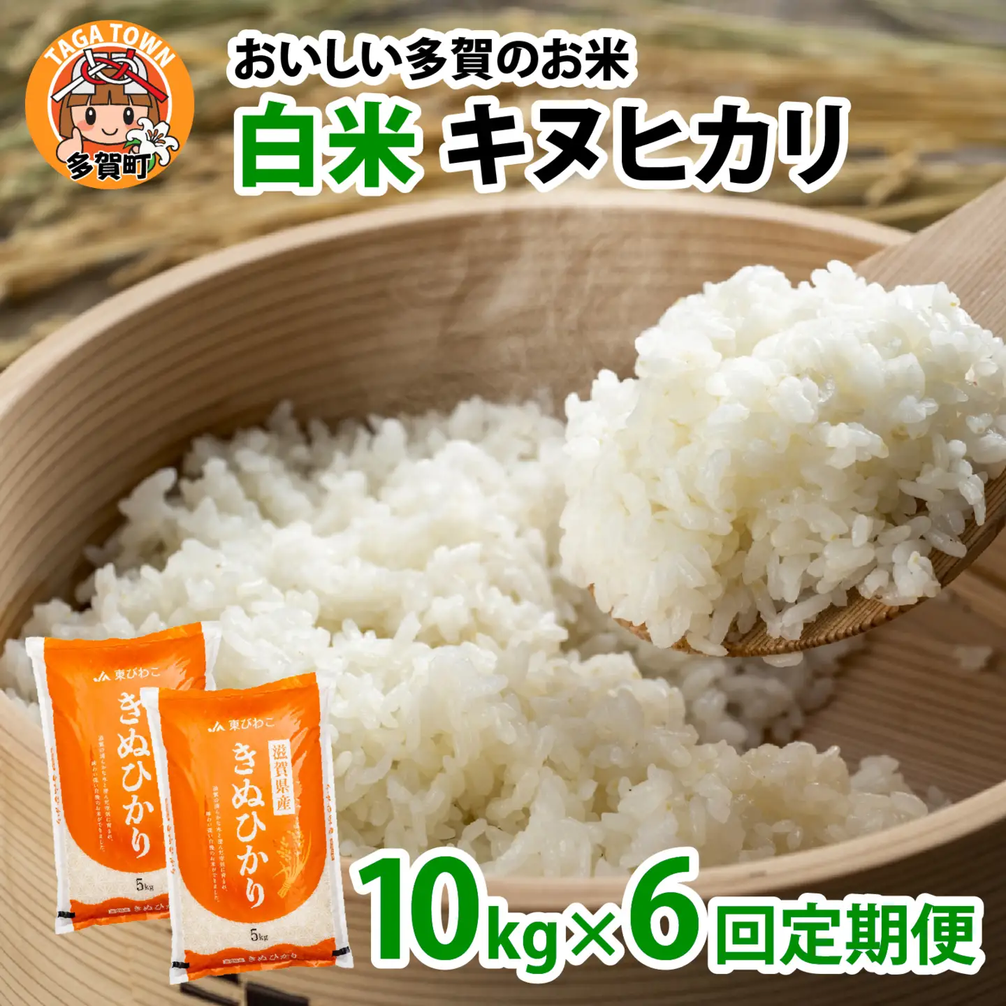 【先行予約】【令和8年産新米早期予約 毎月定期配送・計6回】 キヌヒカリ10kg×6回　おいしい多賀のお米 [J-00401] / 白米