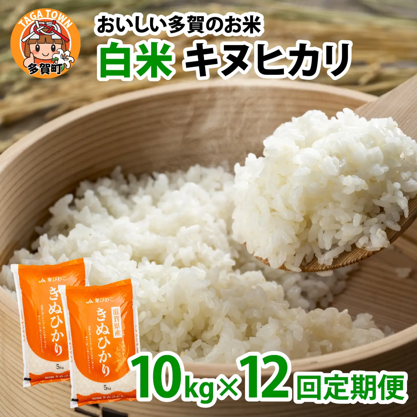 【先行予約】【令和8年産新米早期予約 毎月定期配送・計12回】 キヌヒカリ10kg×12回　おいしい多賀のお米 [N-00401] / 白米
