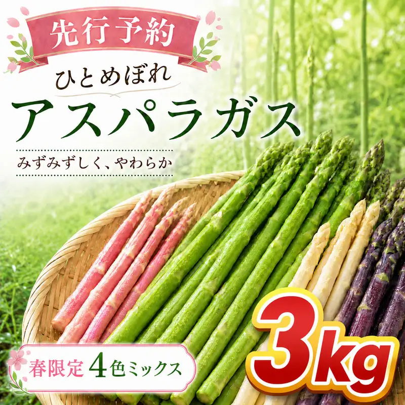 【先行予約】春限定 ひとめぼれアスパラガス 3kg 4色 食べ比べ 産地直送 農家直送 野菜 新鮮 旬 アスパラ 春野菜 サラダ バーベキュー BBQ ファミリー 大容量 ギフト