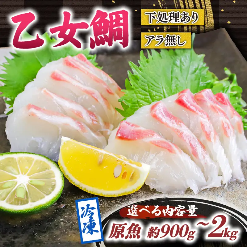 乙女 鯛 1尾 ロイン 原魚 約 900g ～ 約 1kg 高知県 須崎市 ks047