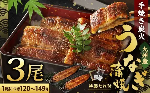【2026年10月発送】九州産 手焼き 炭火 うなぎ 蒲焼 3尾 計360g以上 (1尾あたり120～149g)