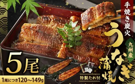 【2026年10月発送】九州産 手焼き 炭火 うなぎ 蒲焼 5尾 計600g以上 (1尾あたり120～149g)