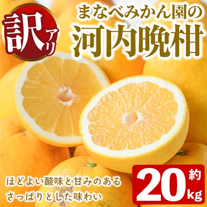 ＜先行予約受付中！2027年3月中旬以降順次発送予定＞訳あり！まなべみかん園の河内晩柑(約20kg) 国産 鹿児島県産 阿久根市産 柑橘類 果物 フルーツ 期間限定 数量限定 デザート 【有限会社まなべみかん園】akn034-21