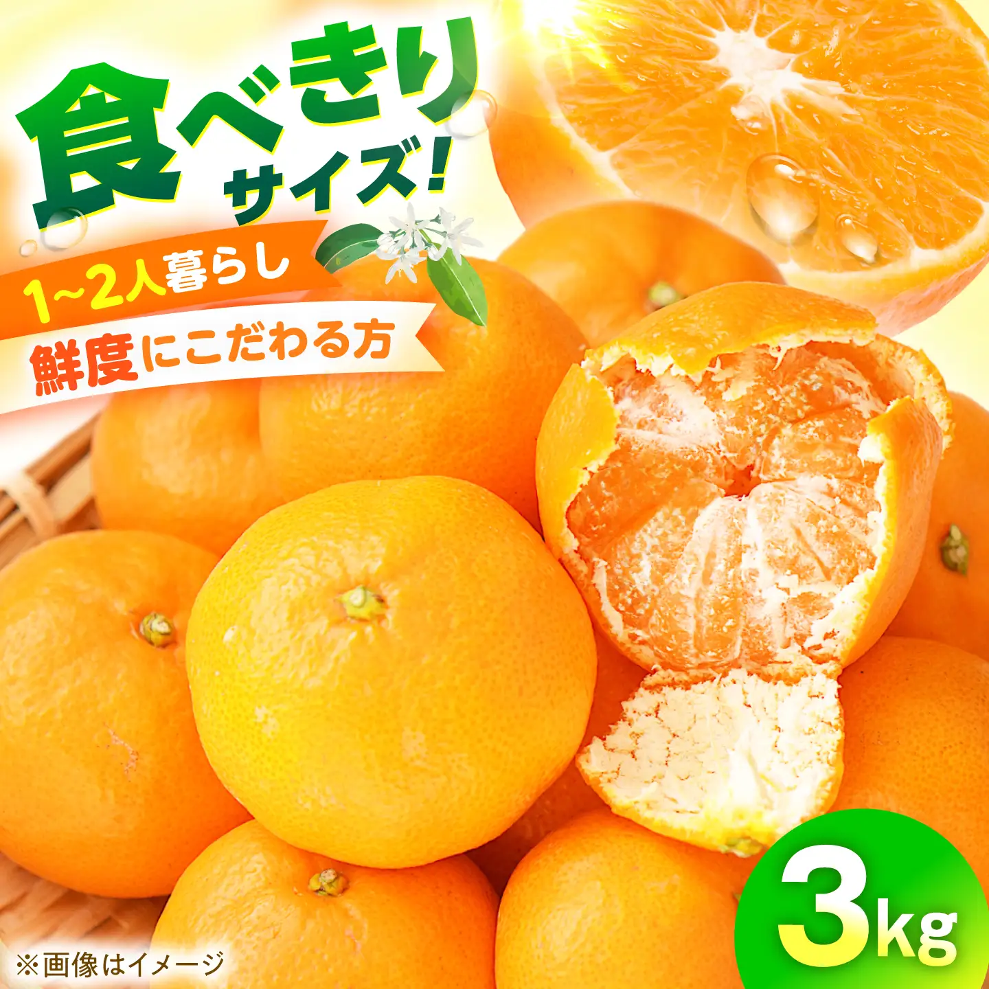 みかん 食べきり量3kg 温州みかん/ みかん ミカン 蜜柑 甘い フルーツ 果物 みかん ミカン 蜜柑 フルーツ 果物 みかん くだもの柑橘 旬 果実 甘味 酸味 甘い mikan 産地直送 農家直送 数量限定 国産 ミカン ご当地 お返し ミカン 贈り物 人気 / 大村市 おおむら夢ファームシュシュ[ACAA499]