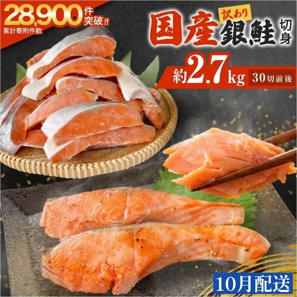 【10月配送】 訳あり 国産 銀鮭 定塩切身 どっさり 2.7kg [宮城県 石巻市] サケ しゃけ 魚 鮭