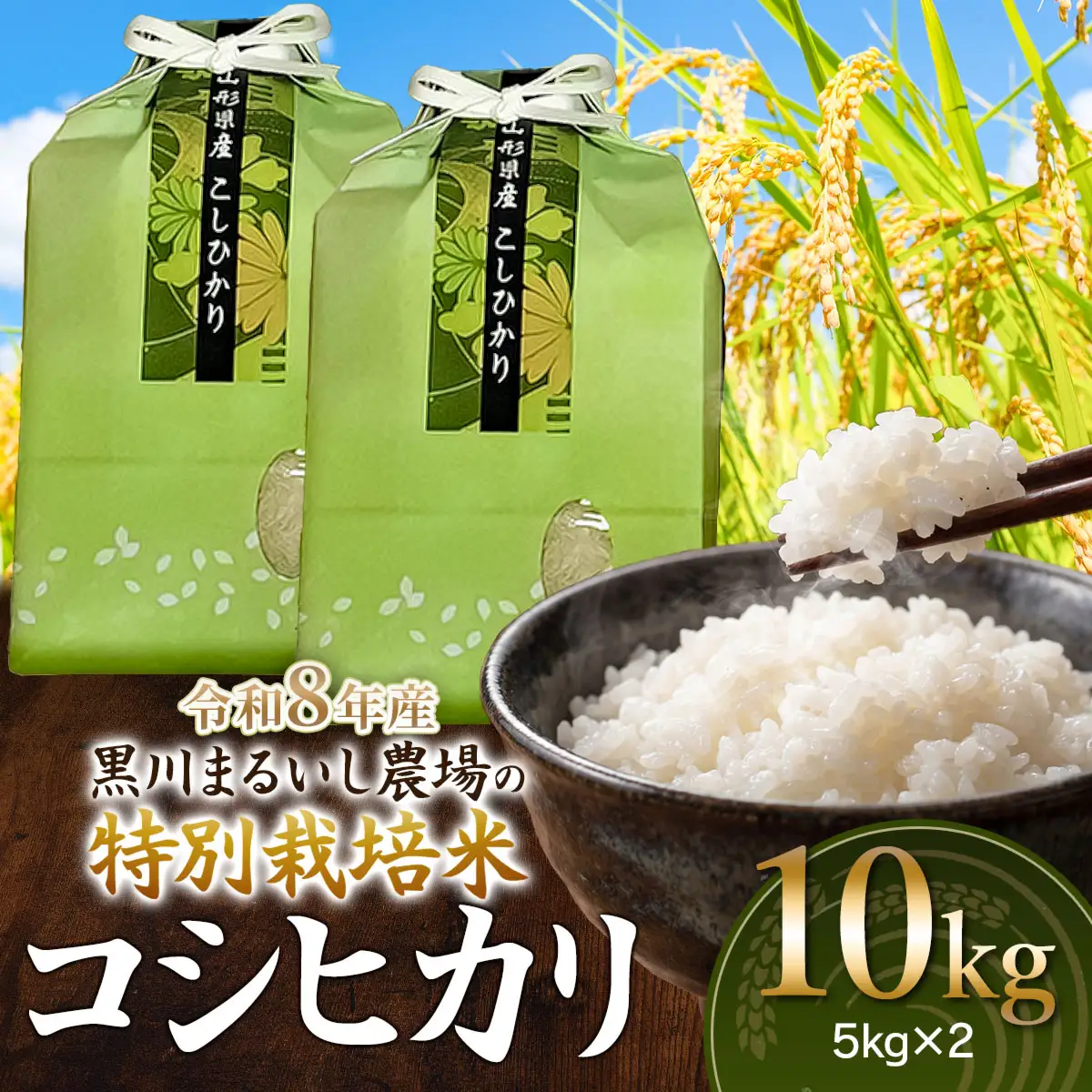 特別栽培米 コシヒカリ 10kg(5kg×2袋) 令和8年産 新米 山形県鶴岡市産　K-875 黒川まるいし農場