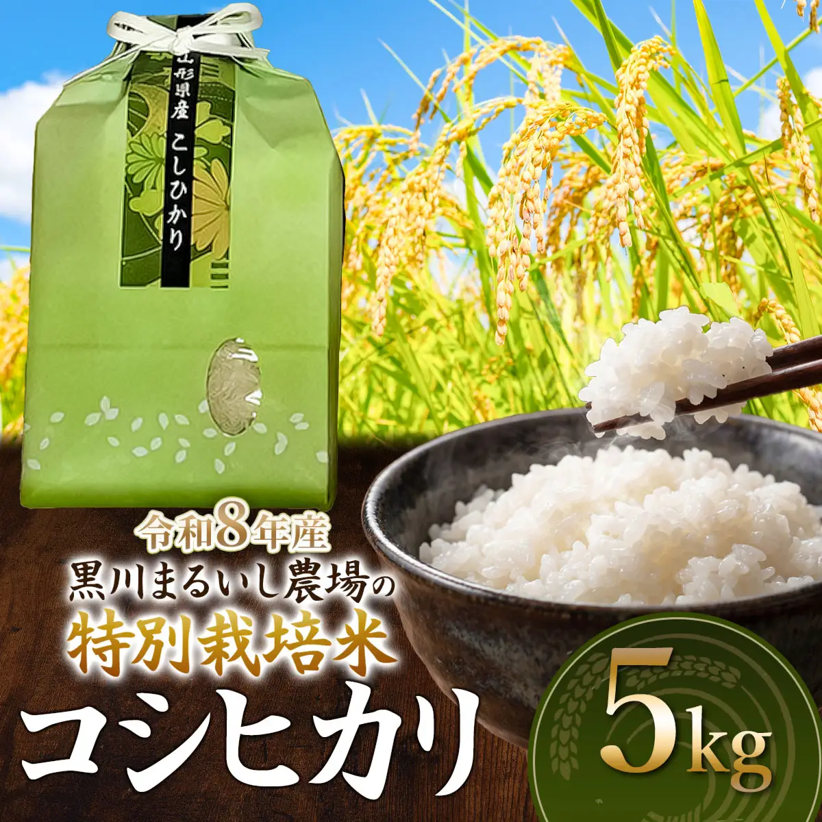 特別栽培米 コシヒカリ 5kg　令和8年産 新米 山形県鶴岡市産　K-837 黒川まるいし農場