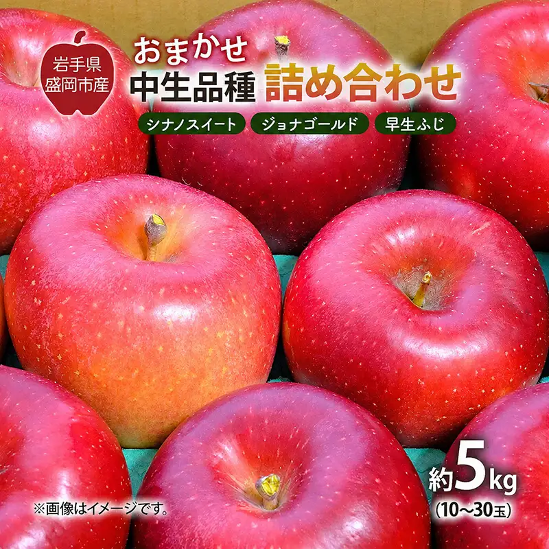 【先行予約】 9月中旬発送開始 りんご 詰め合わせ 2種以上 5kg 藤与果樹園 fujiyo011