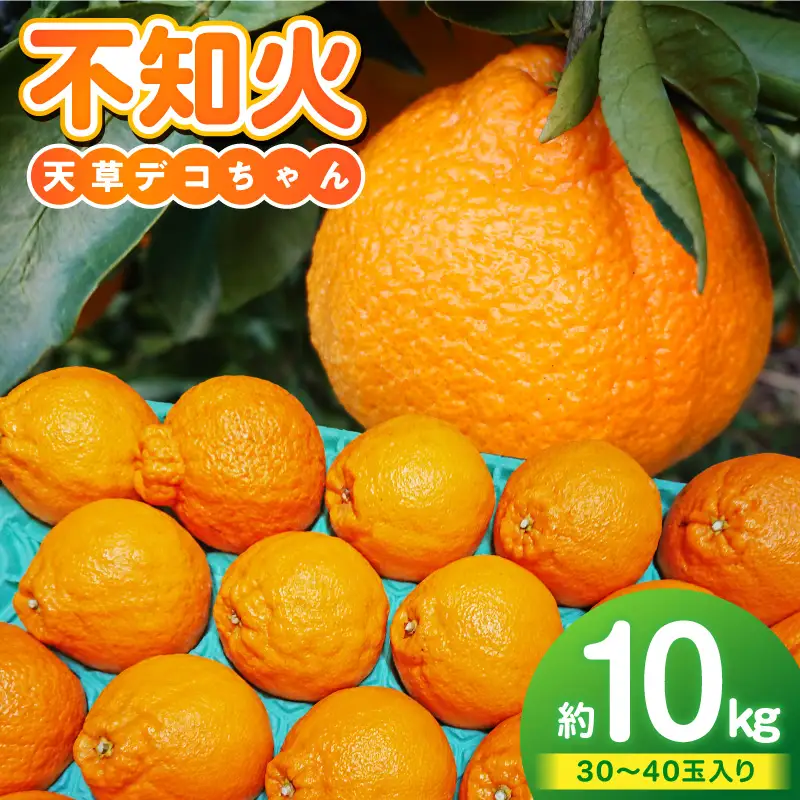 S153-006_天草産 不知火 約5kg 2箱