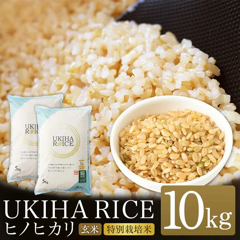 【ふるさと納税】玄米 ひのひかり UKIHA RICE 10kg（5kg×2袋） 特別栽培米 ヒノヒカリ 令和7年産 米 こめ ご飯 コメ ごはん ヘルシー 送料無料 国産 国産米 福岡 返礼品 お弁当 家庭用 ギフト プレゼント 仕送り お取り寄せ うきは市 株式会社みずほファーム