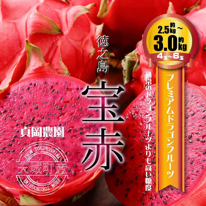 貞岡農園 プレミアム ドラゴンフルーツ 赤玉 2.5～3kg ( 4玉～6玉 ) 天城町産 徳之島宝赤 トロピカルフルーツ フルーツ 果物 果実 ピタヤ 14,600円