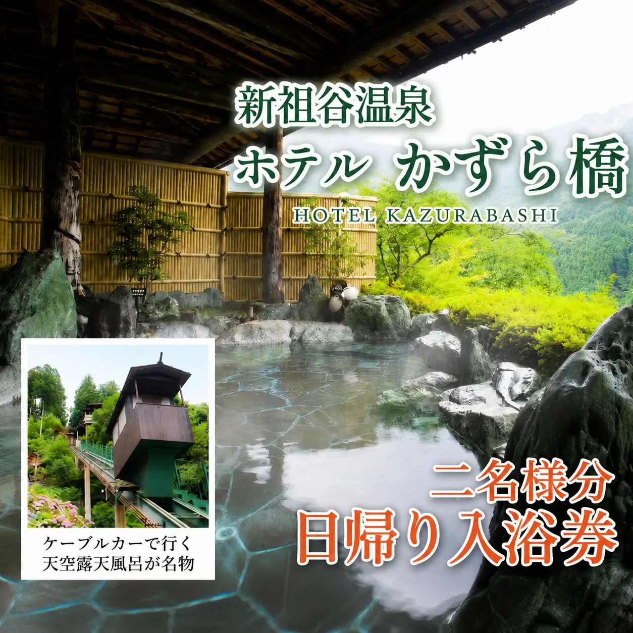 日帰り温泉券 徳島 旅行 ホテルかずら橋 2名様分 徳島県 三好市 【 祖谷 】