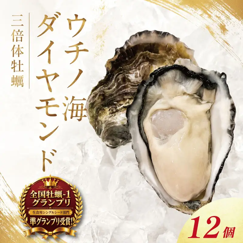 牡蠣 生食用 《全国牡蠣-1グランプリ 準グランプリ受賞！》 12個