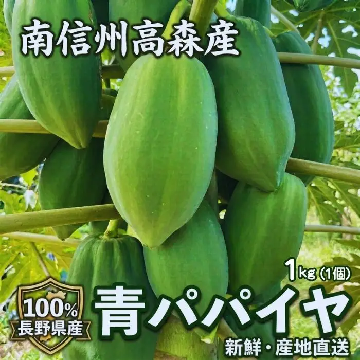 南信州高森産 青パパイヤ 1kg