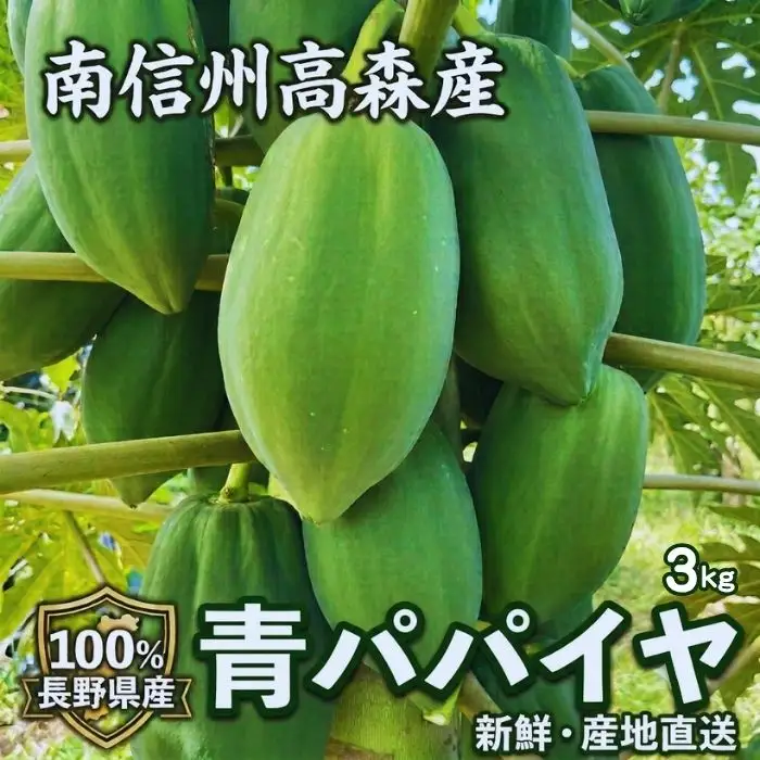 南信州高森産 青パパイヤ 3kg