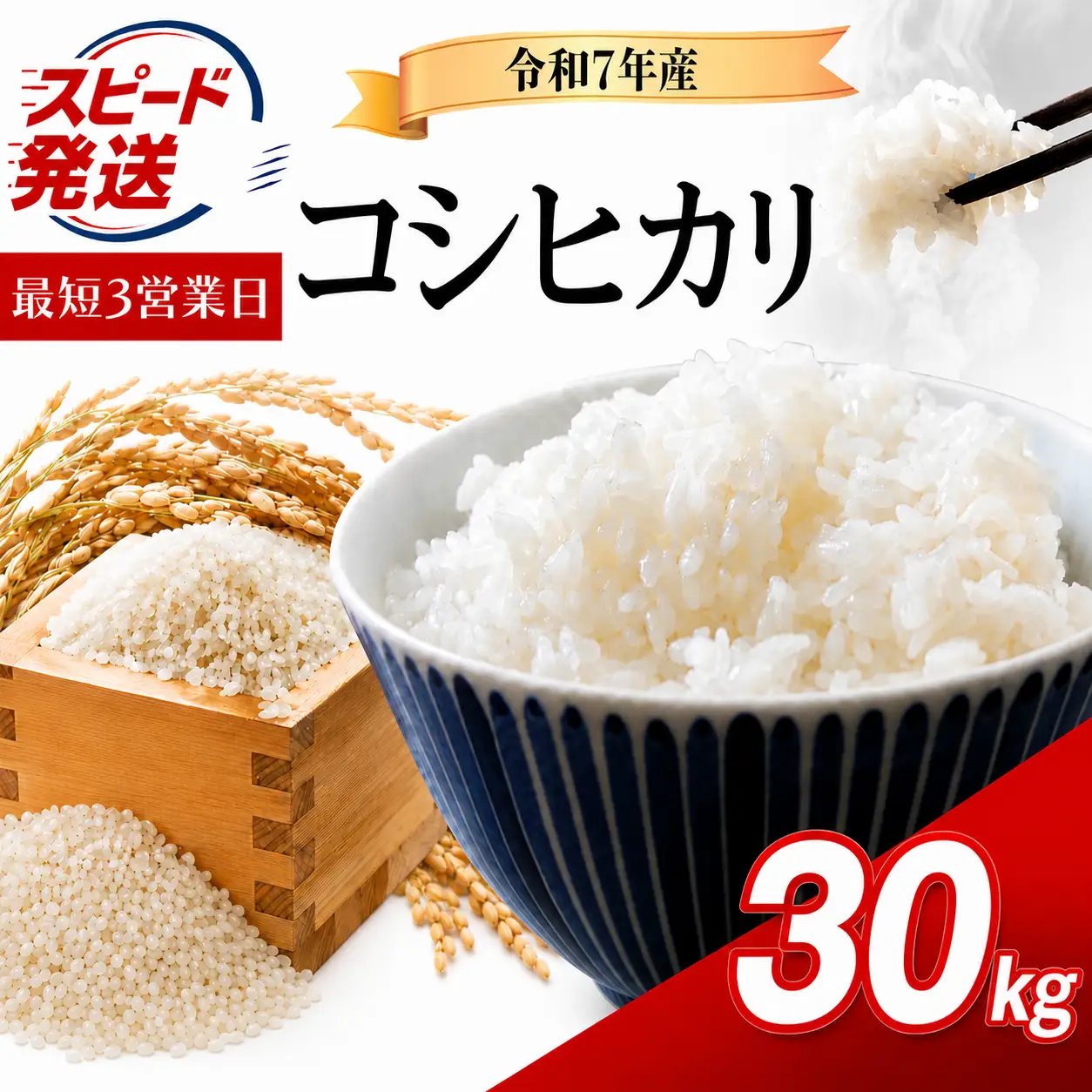 【精米】 令和7年産 こしひかり 30kg 精米 白米 34,775円