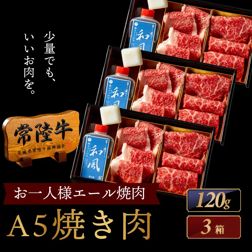 常陸牛 焼肉 お一人様エールギフト120ｇ×3箱 茨城県 水戸市 肉のイイジマ（DU-187）